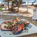 Catalonia Ses Estaques - Adults Only Hotel 4*